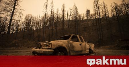 Най малко 96 големи горски пожара са обхванали площ от 1