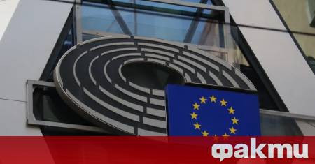Евродепутати от Комисията по заетост и социални въпроси на Европейския