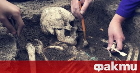 Полски археолози са открили в южната част на страната седем