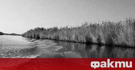 Двама нелегални мигранти се удавиха в Гърция в река Марица