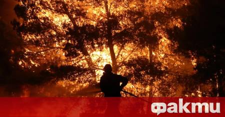 Огромен пожар бушува между селата Граничак и Дъбравка съобщи кметът