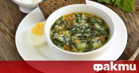 Пролетната витаминозна супа от коприва и лапад се приготвя бързо