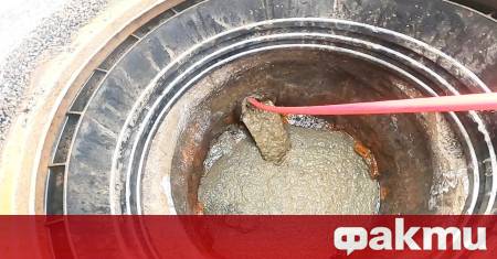 Потребителката на Reddit Afraid Reindeer 8940 сподели как стомашните проблеми на семейството