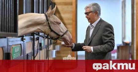 В Астана се появи нов културен символ Акжанската кобила с