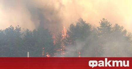 Голям пожар пламна в гориста местност в Казанлък Огънят се