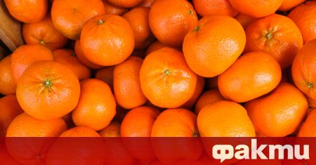 Много пъти е ставало въпрос за полезните свойства на мандарините Да