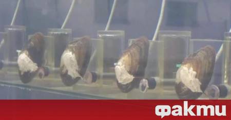 Контролът на качеството на водата в полската столица Варшава е