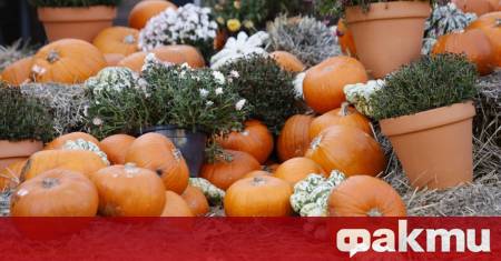 ФАКТИ публикува мнения с широк спектър от гледни точки за