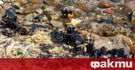 Регионалната здравна инспекция в Бургас е изследвала качеството на водите