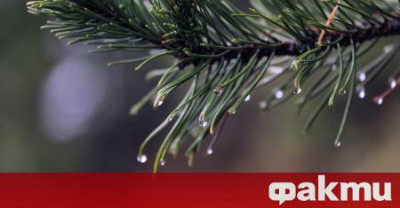 Тежка акция на планинските спасители в Пирин завърши трагично по