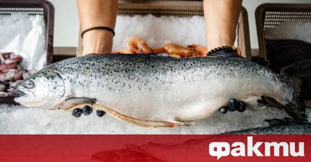 Летният сезон и кулинарните пътешествия винаги ни изкушават с аромата
