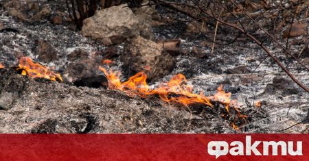 Овладян е вече големият пожар в землищата на селата Раздел