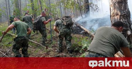 Пожарът над село Югово в Родопите все още не е