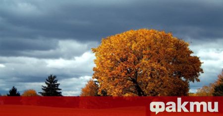 В последния ден от работната седмица ни очакват максимални стойности