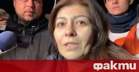 Пиарът на ГЕРБ Севделина Арнаудова обвини народният представител от ПП ДБ