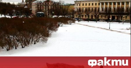 В Санкт Петербург задържаха автора на инсталация в парк 