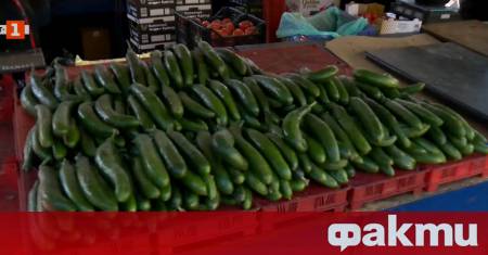 Продължава тенденцията на поевтиняване на потребителската кошница Това показват данните