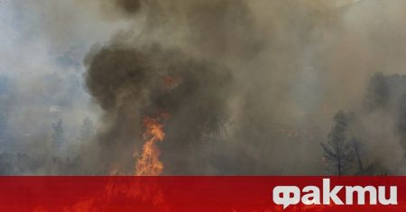 Голям горски пожар в Североизточна Испания се разрасна бързо през