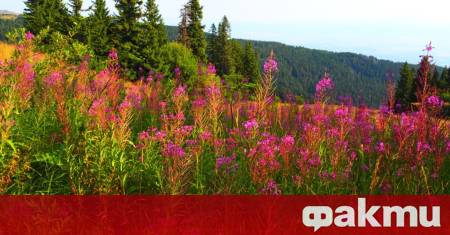 Очаква се слънчево време в по голямата част от страната