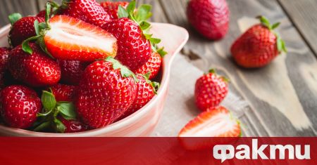 Гигантска ягода отгледана в Израел и тежаща 289 грама влезе