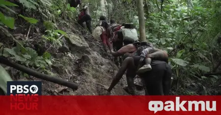 In Panama, a network for smuggling Chinese migrants through the jungle of Darién was broken up ᐉ News from Fakti.bg – World