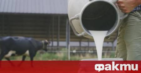 Засиленият контрол от страна на държавата блокира вноса на мляко