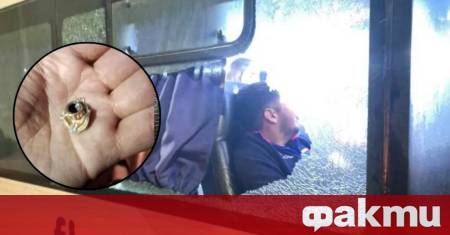 Автобус превозващ аржентински футболни привърженици стана обект на въоръжено нападение
