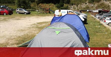 Дърво падна върху палатка и уби 29-годишна чешка туристка от