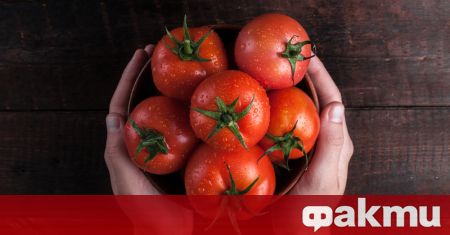 Консумацията на домати не винаги носи ползи за организма казва