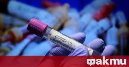 Нови 93 случая на коронавирус бяха регистрирани в страната за