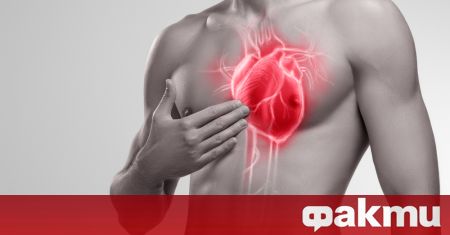 Студ вируси тежки трапези са все неприятели на здравото сърце