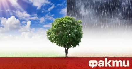 Безпрецедентната суша принуди португалското правителство да препоръча на 43 района