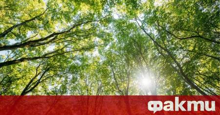 Ще бъде по топло от вчера предаде БНТ Минималните температури в