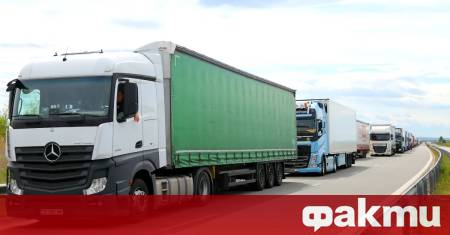 МВР със стряскаща статистика за войната на пътя – всеки