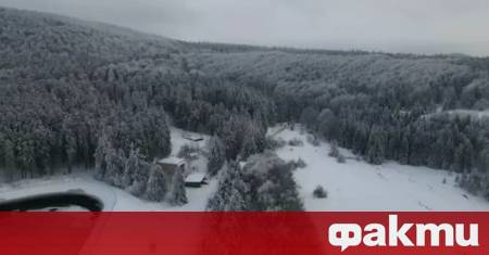 Сдружението нарекло себе си Национална агенция за контрол на защитетитени