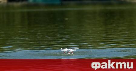 Дрон робот ще помага при спасяването на давещи се хора