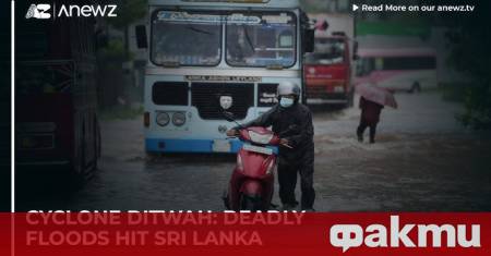 Най малко 334 души са загинали в Шри Ланка през последните