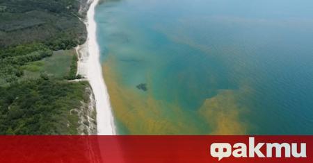 Нов сигнал за замърсяване в морето край Варна. Институциите проверяват