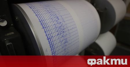 Земетресение с магнитуд 3 1 по Рихтер е регистрирано в близост