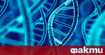 Турският ДНК проект, който събира и публикува данни, проследяващи генетиката