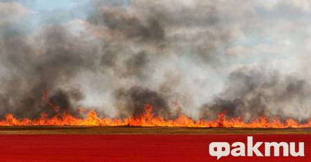 Основният фронт на пожара е в село Понор Там са