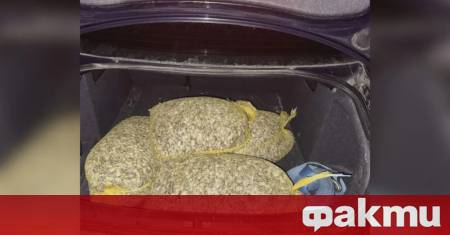 Гранични полицаи задържаха мъж с незаконен улов на бяла мида