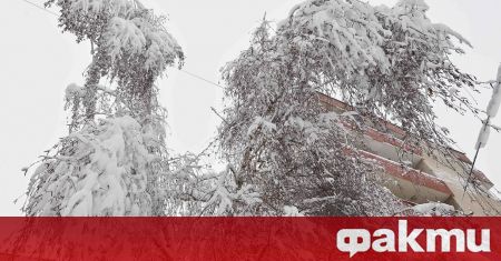 Силно обледяване повреди 14 електропровода на ЧЕЗ в областите Видин