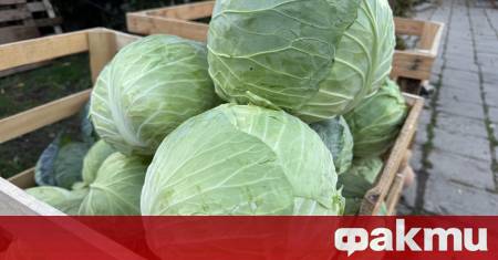 Ръст в цените на основни основни хранителни стоки на някои