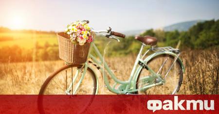 Независимо дали търсиш колело за града планината или децата изборът