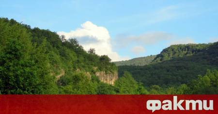 В сряда служители на Регионална дирекция по горите – Варна