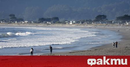 Цунами е достигнало бреговете на щата Калифорния съобщиха от Националната