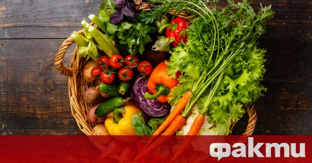 Зеленчуците са в основата на една питателна диета Богат източник