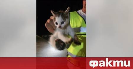 Малкa спасителна акция e организирана вчера в двора на Главна