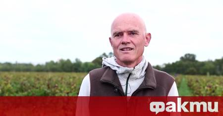 Винопроизводството във Франция е претърпяло срив сочи доклад на Vineturсе